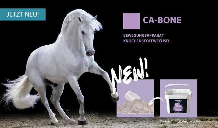 Höveler Banner Webshop Desktop CA BONE  2007px x 1175 px